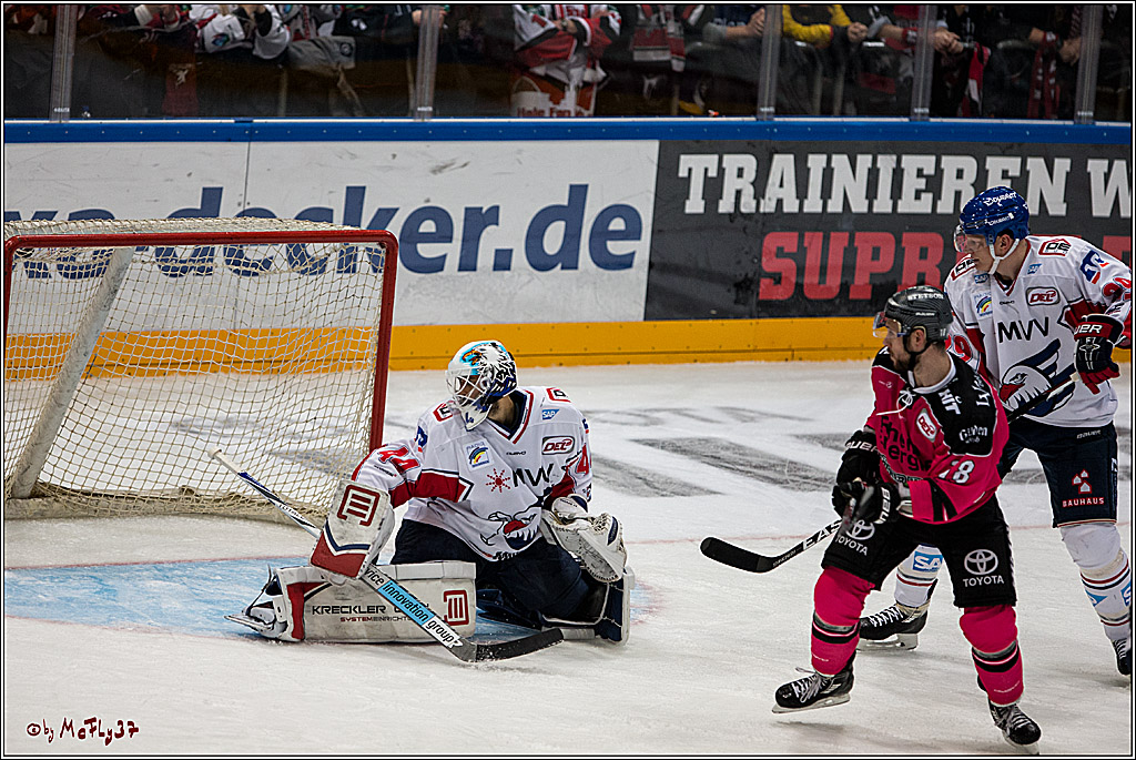 Koelner Haie - Adler Mannheim, 30.10.2016